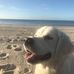 Simon Raines - Facebook