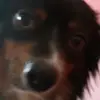 Simon Randolph - @i.love.twinkies122 - TikTok