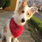 Simon Rangel - @simon.rangel.718 - Instagram