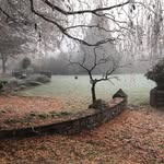 Simon Rappolt - @simonrappolt - Instagram