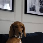 Simon Read - @simon.read.3194 - Instagram