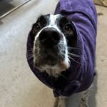 Simon Read - @simonread63 - Instagram