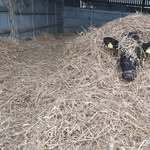 Simon Read - @simon.read1414 - Instagram