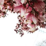 Simon Read - @simon_read_ - Instagram