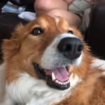 Simon Reese - @simonnreese - Instagram