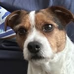 Simon Reeves - @sireevesy - Instagram