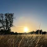Simon Reeves - @life_of_a_farm_broker - Instagram