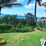 Simon Reid - @simonjohnreid - Instagram