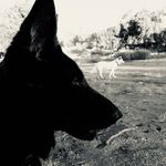 Simon Reilly - @simonjreilly - Instagram