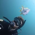 Simon Reilly - @reilly.simon - Instagram