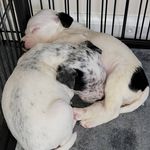 Simon & Reuben - @simon8areuben - Instagram