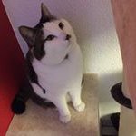 Simon Rhyner - @simonrhyner - Instagram