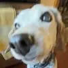 Simon Rios - @simonrios253 - TikTok