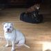 Simon Robertson - Facebook