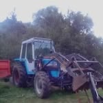 Simon Roche - @simonroche7 - Instagram