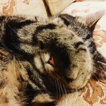 Simon Rockett - @slimerocks - Instagram