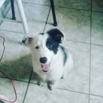 Simón Román - @simonroman88 - Instagram
