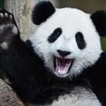 Simon Roots - @roots.simon - Instagram