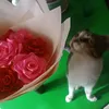simonsaid - @simonsaiddont - TikTok