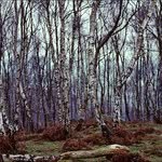 Simon Sampson - @simonsampson - Instagram