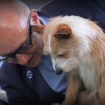 Simon Sampson - @simon.sampson.547 - Instagram
