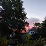 Simon Schiller - @simonschiller1 - Instagram