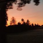 Simon Schiller - @supermanschiller - Instagram