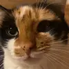 Simon Schlatter - @simon.schlatter - TikTok