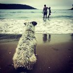 Simon Sharp - @bankofwellbeing - Instagram