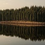 Simon Sharp - @simon.sharp.123276 - Instagram