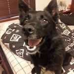 Simon Sharp - @simonsharp1 - Instagram