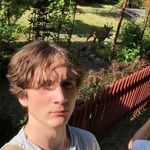 Simon Sheppard - @smimnms - Instagram