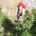 Simon Sheppard - @banjojo70 - Instagram