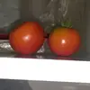 Simon Sierra - @simon_309pro - TikTok