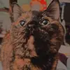 simonsilver52 - @simonsilver52 - TikTok