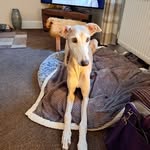 Simon Simpson - @simon.simpson.9862 - Instagram