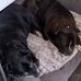 Simon Smith - Facebook