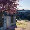 Simon_smith - @simonsmith2498 - TikTok
