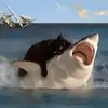 SimonSolv - @simonsolv - TikTok