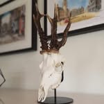 simon sørensen - @sstrofaedesign - Instagram