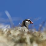 Simon Steiner - @simon_steiner_photography - Instagram