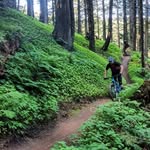 Simon Stevenson - @islandsiguy - Instagram