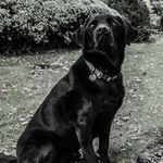 Simon Strickland - @sgs90360 - Instagram