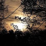 Simon Swain - @simonawswaindesigns - Instagram