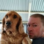 Simon Swain - @simon.swain.522 - Instagram