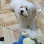 Simón - @tejada.simon - Instagram