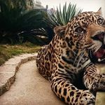 Simon Tejada - @simon.tejada.94 - Instagram