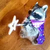 Simon - @simon_tipper - TikTok