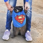 Simon tipper - @simon.tipper13 - Instagram