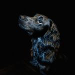 Simon Travis - @simon.travis - Instagram